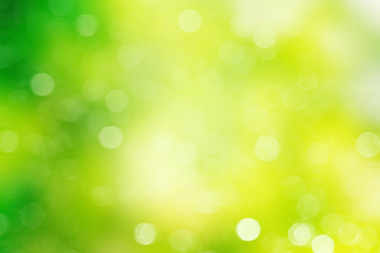 Green abstract background blur.