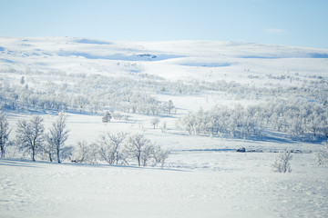 A beautiful white landscape of a snowy Norwegian winter day