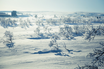 Obraz premium A beautiful white landscape of a snowy Norwegian winter day