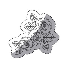 silhouette oval roses with leaves icon, vector illustraction design