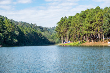 Fototapeta premium Viewpoint reservoir with pine forest in sunny at pang oung
