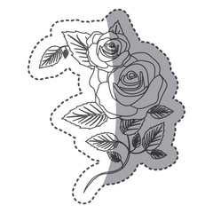 silhouette roses with squere petals and leaves icon, vector illustraction
