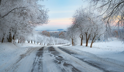 Winter Landscape with a snowy road and frosty trees