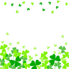 Fototapeta premium Vector illustration of green clover leaves on white. St Patrick's Day background