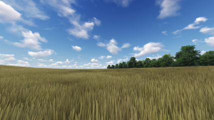 Panoramic Green Grass with cloud and the blue sky. 3d render