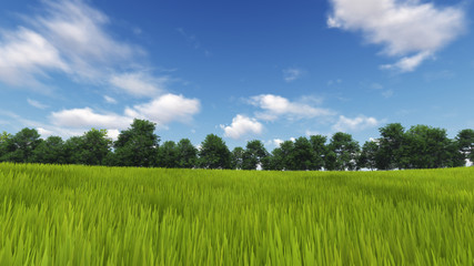 Fototapeta premium Panoramic Green Grass with cloud and the blue sky. 3d render