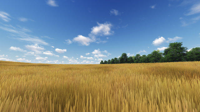 Panoramic Green Grass with cloud and the blue sky. 3d render