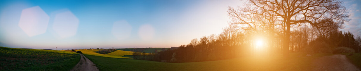 Panorama of the sunrise on the spring field