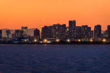 Obraz premium Tokyo's dusk - 黄昏時の東京