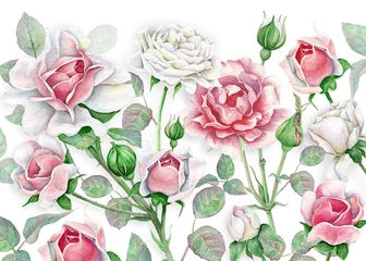 Fototapete Rosen Aquarellblumenhintergrund mit weißen und rosa Rosen