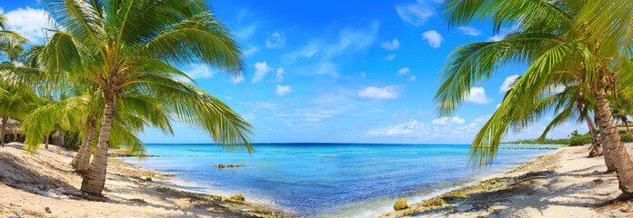 Caribbean sea and palms. - obrazy, fototapety, plakaty