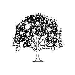 figure trees with some leaves icon, vector illustraction design