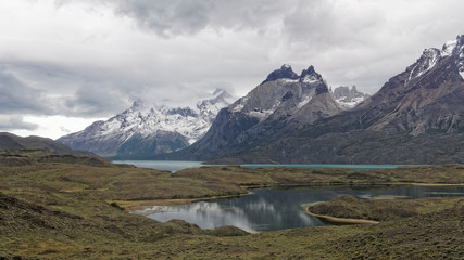 Chili, Patagonie, Sabot de la Vierge, Calceolaria, Uniflora, sabot, ViergeCuernos del Paine