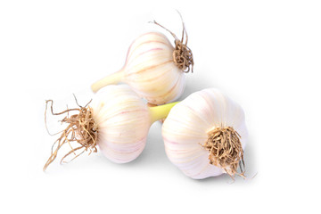 fresh and white garlic isolated on white background
