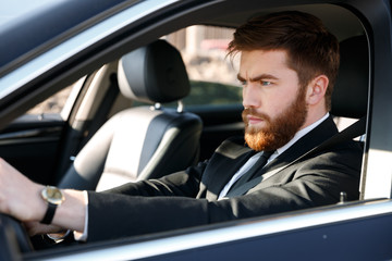 Fototapeta na wymiar Portrait of a concentrated bearded man in suit driving car