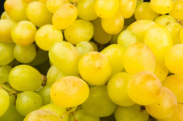 Large grapes cluster