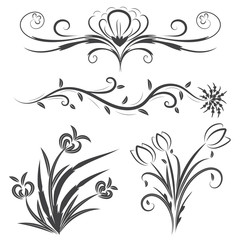 vector illustration set of floral calligraphic and dividers decorative