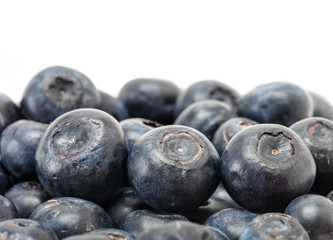 blueberry fruit isolated on white background