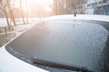 Sunlight after the icy rain

