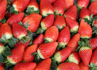 background red ripe strawberries for sale in the market