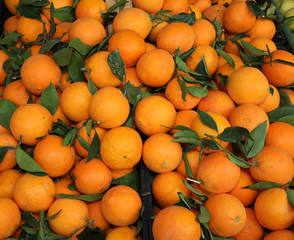 oranges with leaf after the harvest