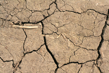 cracked, dry earth 1