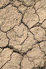 cracked, dry earth 2