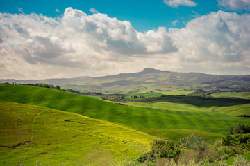 Fototapeta na wymiar Green spring field. Tuscany, Italy
