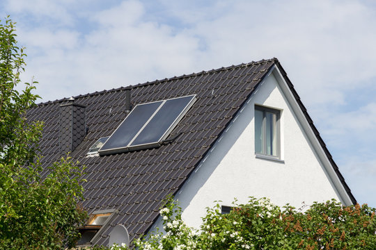 house roof with solar panels and green plants in the front