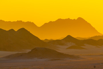 Fototapeta na wymiar Desert at dawn