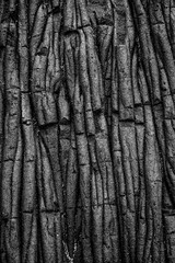 Vulcanic structure 
