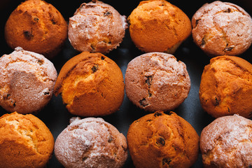 Muffins with raisins . Homemade cake with Icing Sugar
