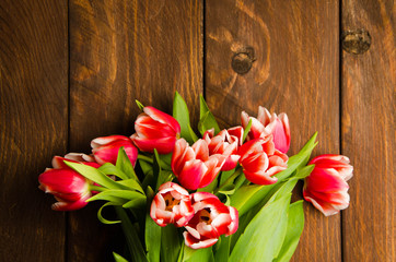 A bouquet of tulips on a tree. Beautiful tulips on wooden boards. Red-white tulips on wooden boards.