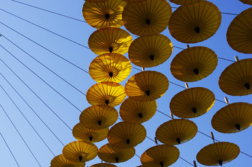 yellow umbrella.