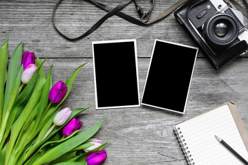 vintage retro camera with blank photo frames, blank notebook and tulip flowers