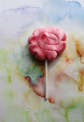 Sweet colorful lollipop