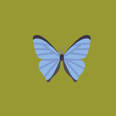 butterfly icon. flat design