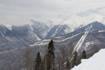 Caucasus Mountain