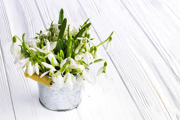 Bouquet of snowdrops flowers on old wooden table