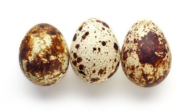 Quail eggs isolated on white, from above