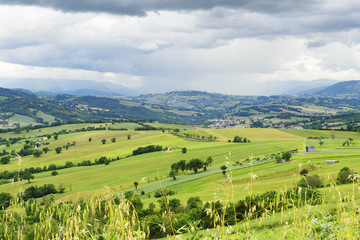 Fototapeta na wymiar Typical landscape Marche