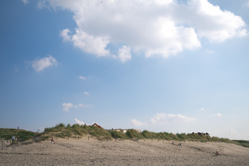 Fototapeta na wymiar Dünen Noordwijk