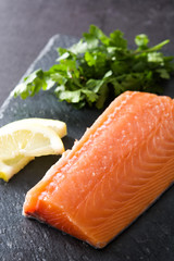 Raw salmon fillet on slate plate
