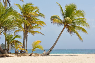 panama beaches