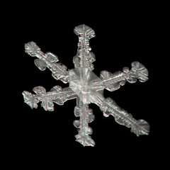 Extreme magnification - Real snowflake on black background, close up