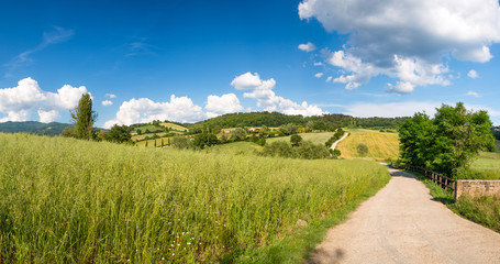 Spring countryside in Tuscany, panoramic view