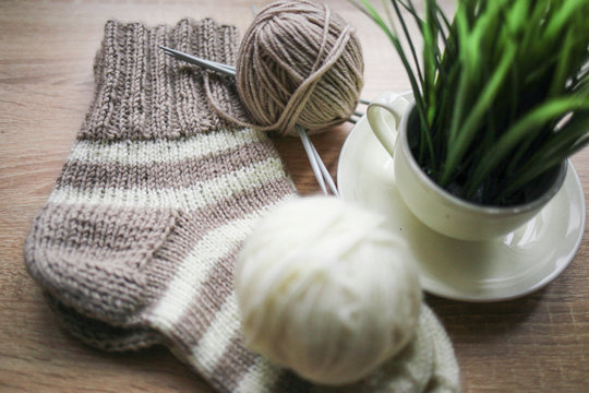 Green plant in the pot, knitting needles, beige and white yarn, Knitted striped beige-beige sock are on the table. Wooden background. Hobbies 