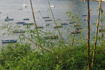 barcos