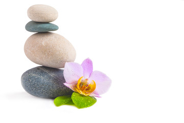 Stones and orchid flower on white background. SPA treatment with zen stones. SPA concept