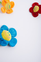 colored flowers smiling